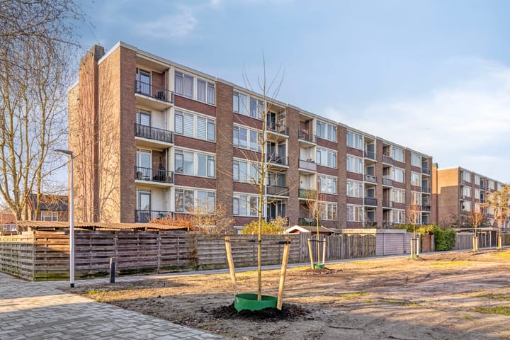 Foto 24 van Maasstraat 8