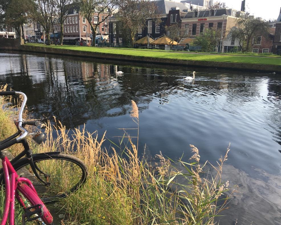 Foto 31 van Transvaalstraat 93-B1