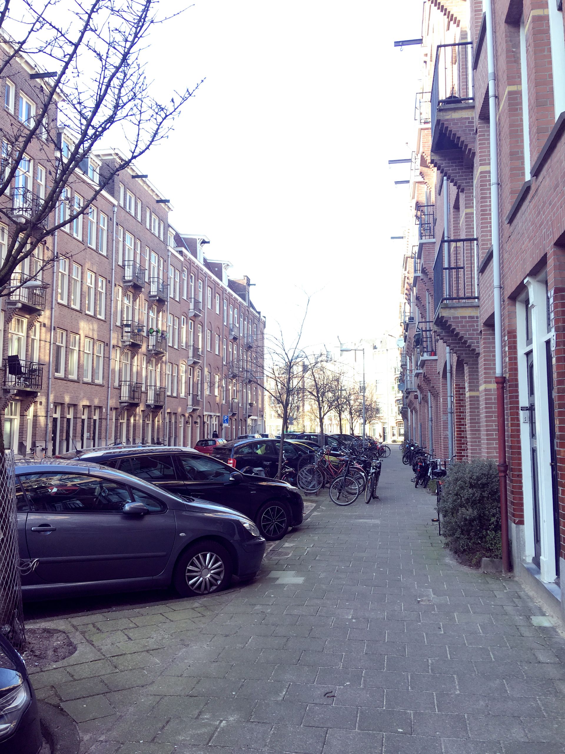 Foto 33 van Transvaalstraat 93-B1