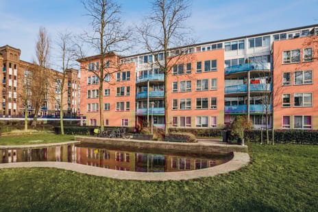 Hildo Kropplein thumbnail