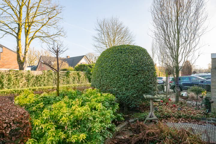 Foto 9 van Borgsche Rieten 73