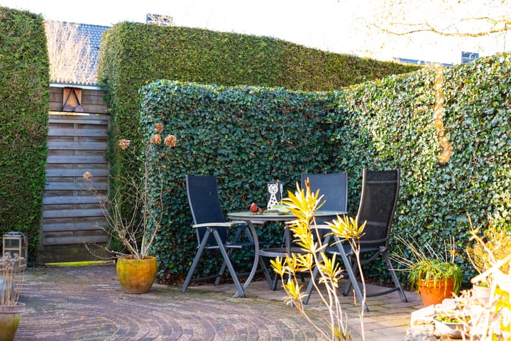 Foto 40 van Borgsche Rieten 73