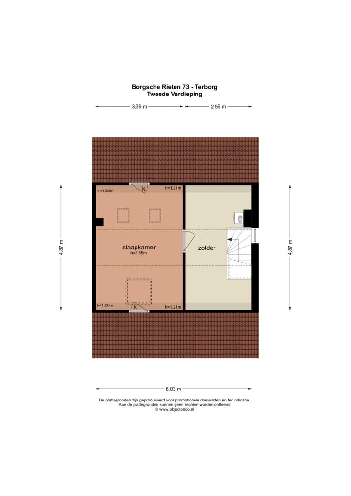 Foto 55 van Borgsche Rieten 73