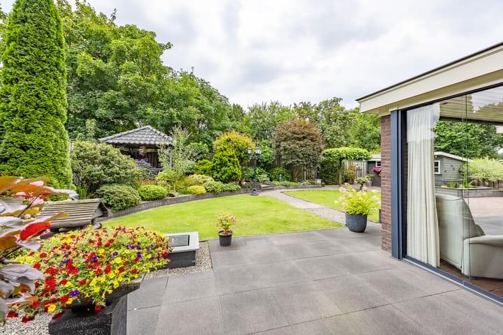 Photo 4 of Velduil 5