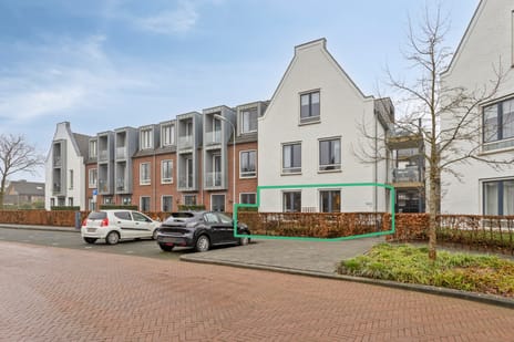 undefined main image