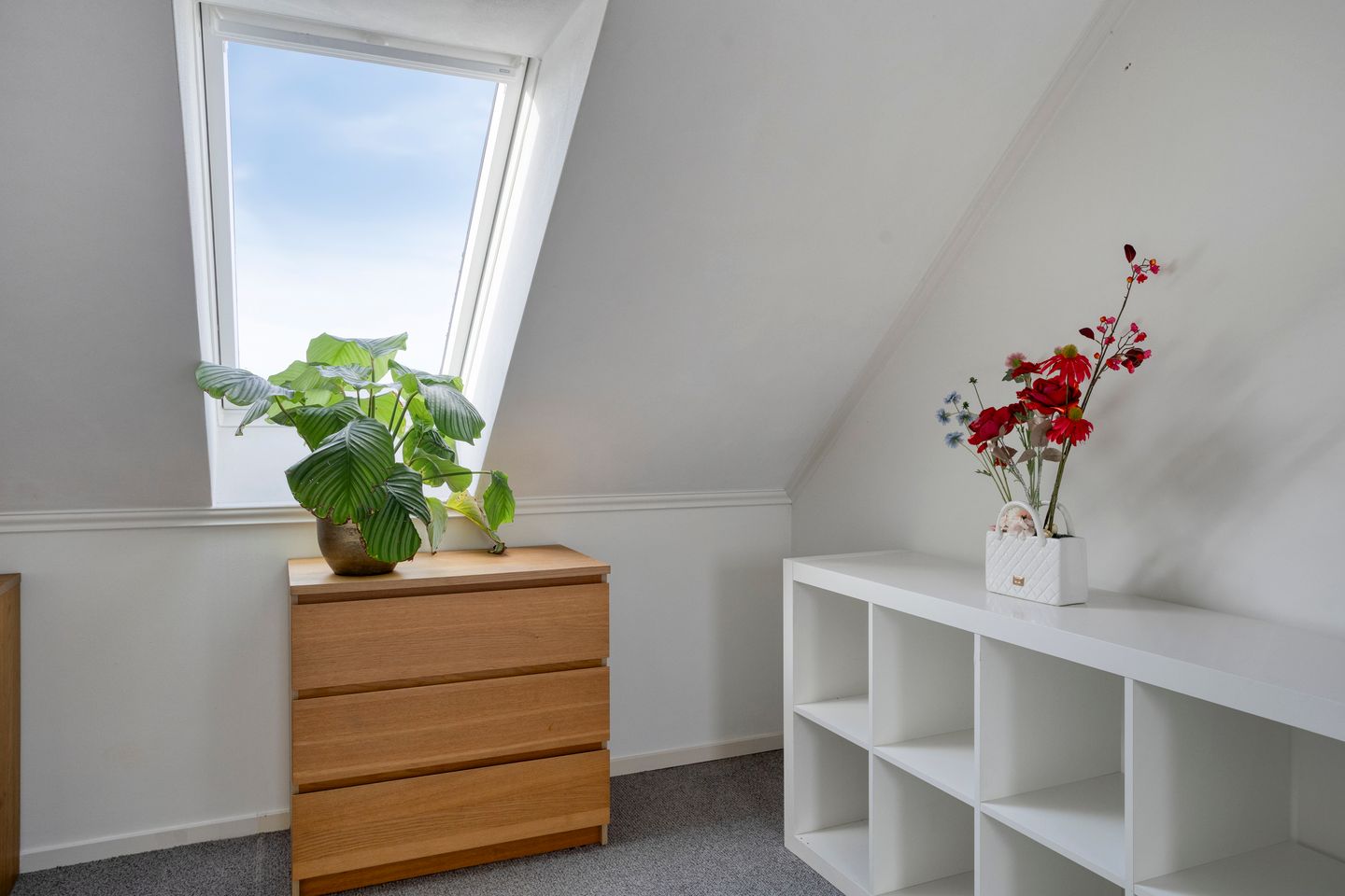 Foto 50 van Jelle Plantingstraat 36