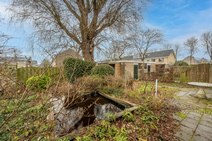 Foto 37 van van Ostadestraat 15