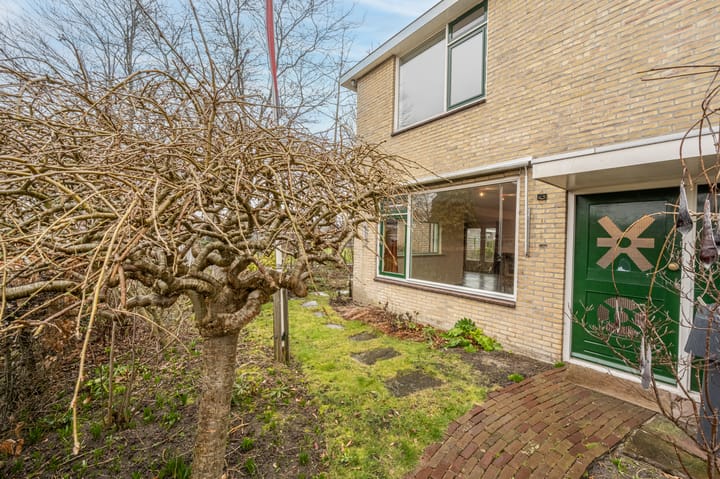 Foto 40 van van Ostadestraat 15