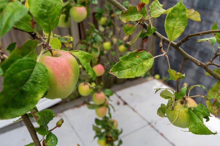 Foto 13 van Kopermolenstraat 59