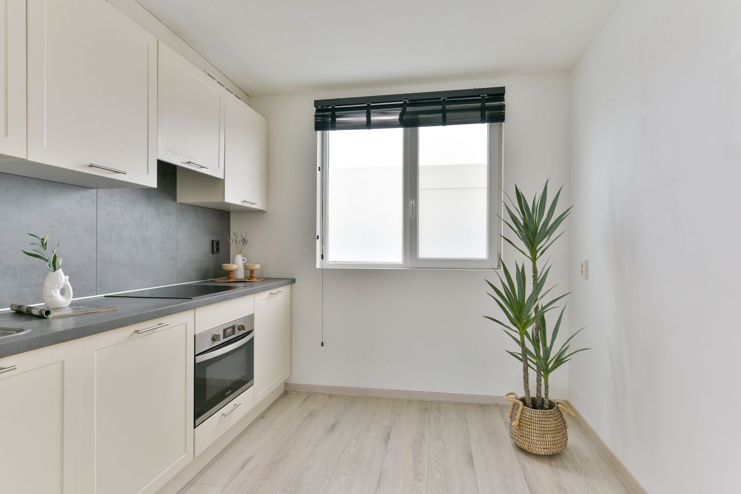 Foto 14 van Hoornseschans 44