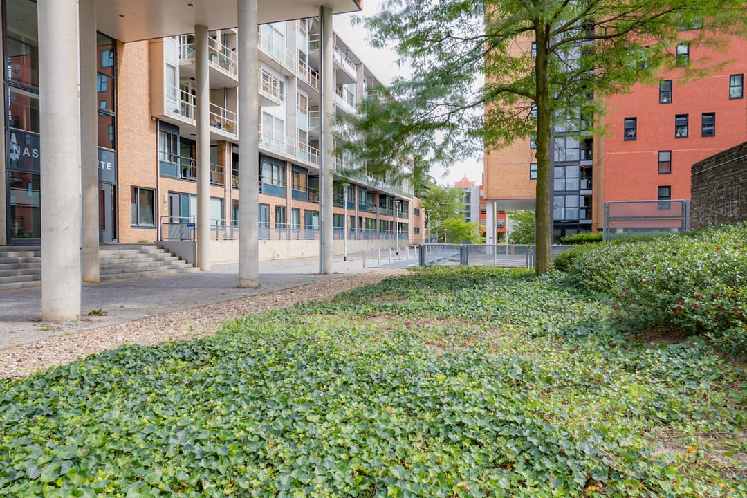 Foto 2 van Mercuriuspad 26