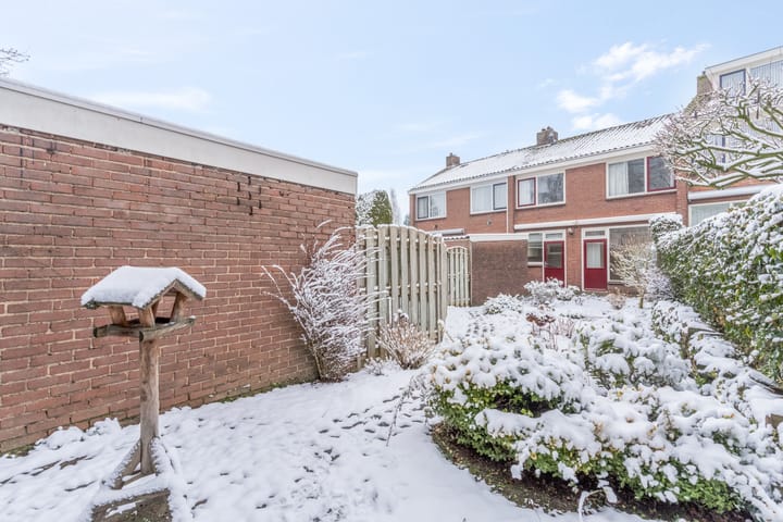 Foto 3 van Jasmijnplantsoen 21