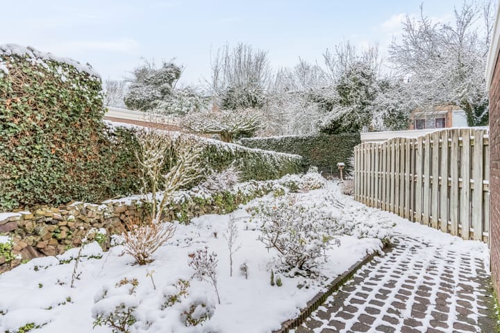 Foto 4 van Jasmijnplantsoen 21