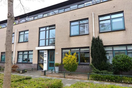 undefined main image