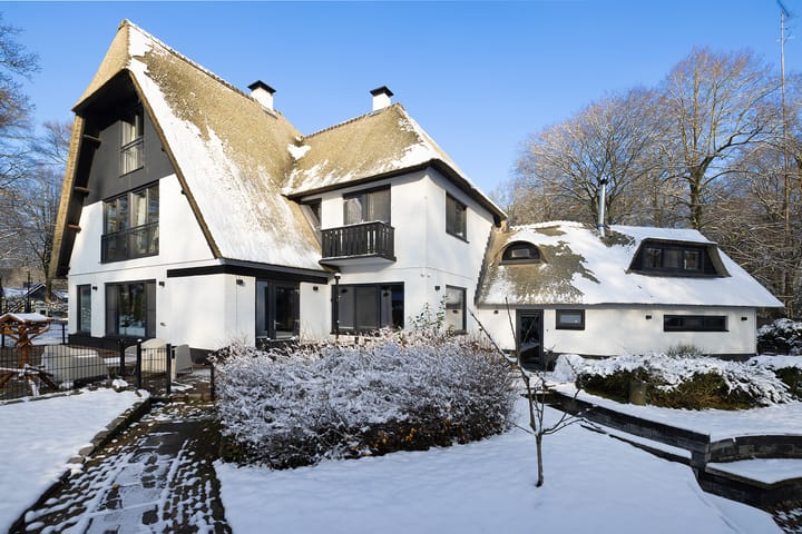 Jan van Riemsdijklaan 1