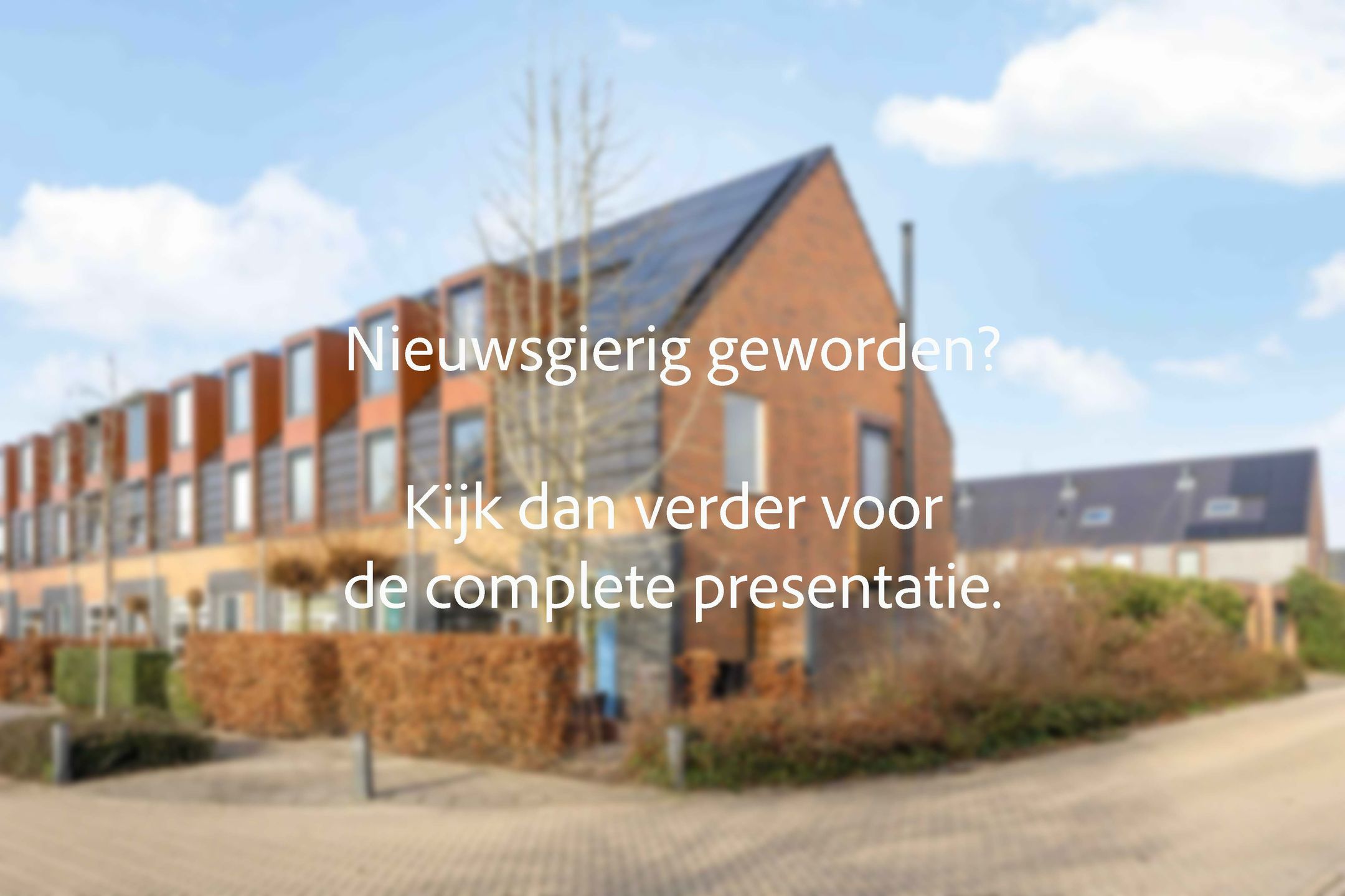 Photo 9 of Stedegroen 2
