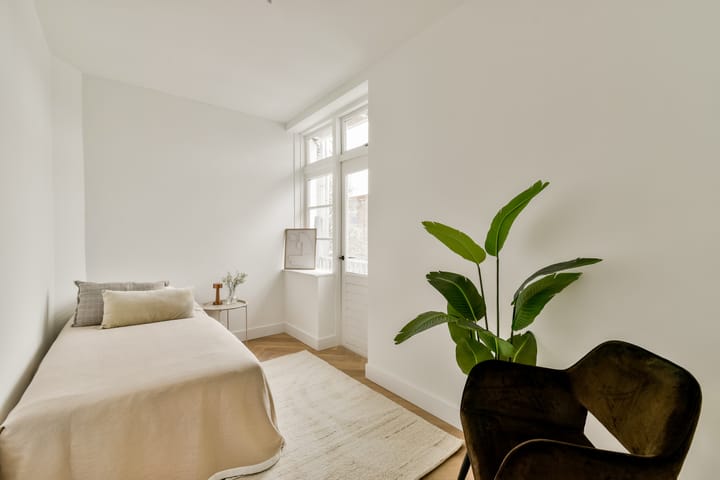 Foto 12 van Dintelstraat 29-3