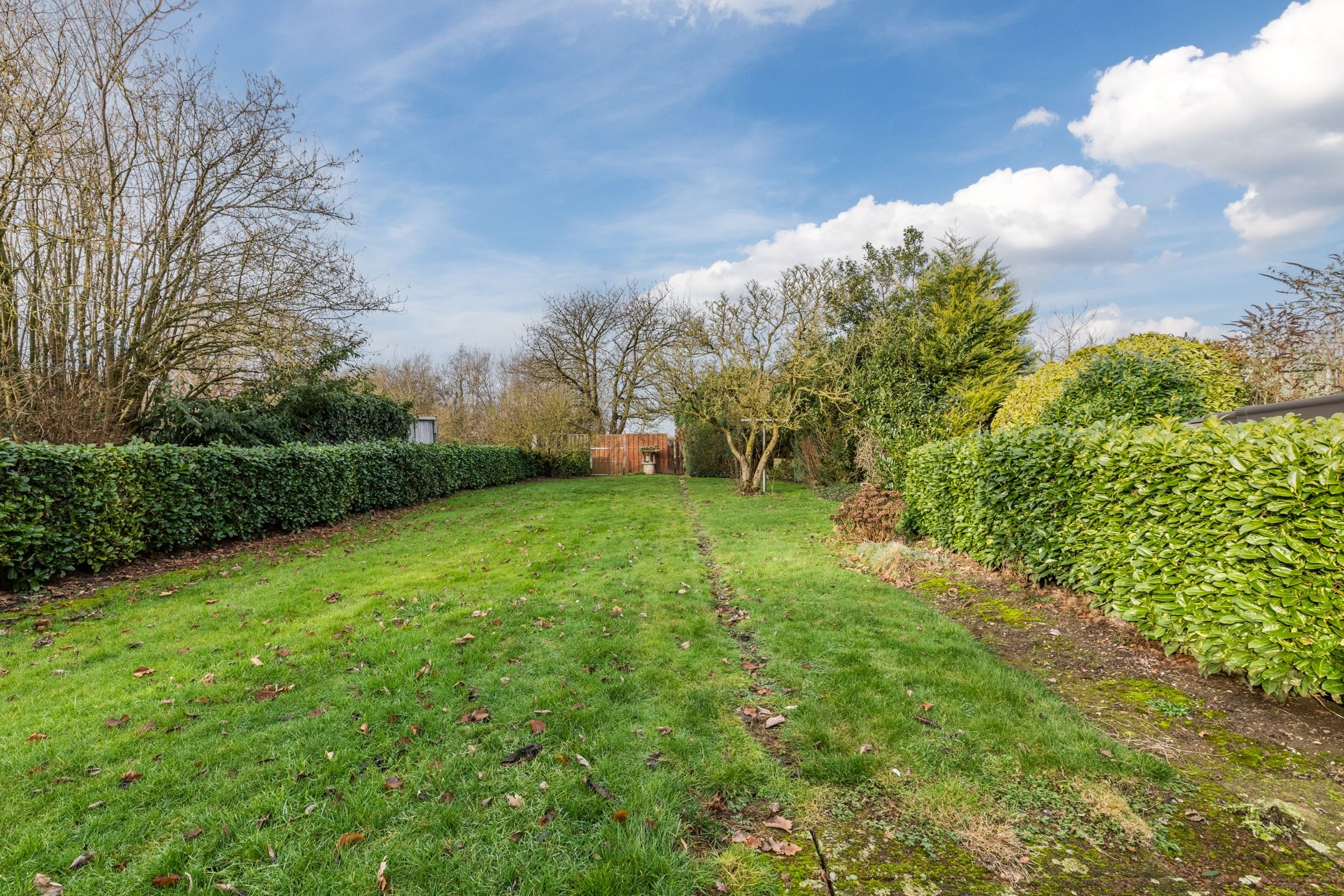 Foto 45 van Contelmostraat 20