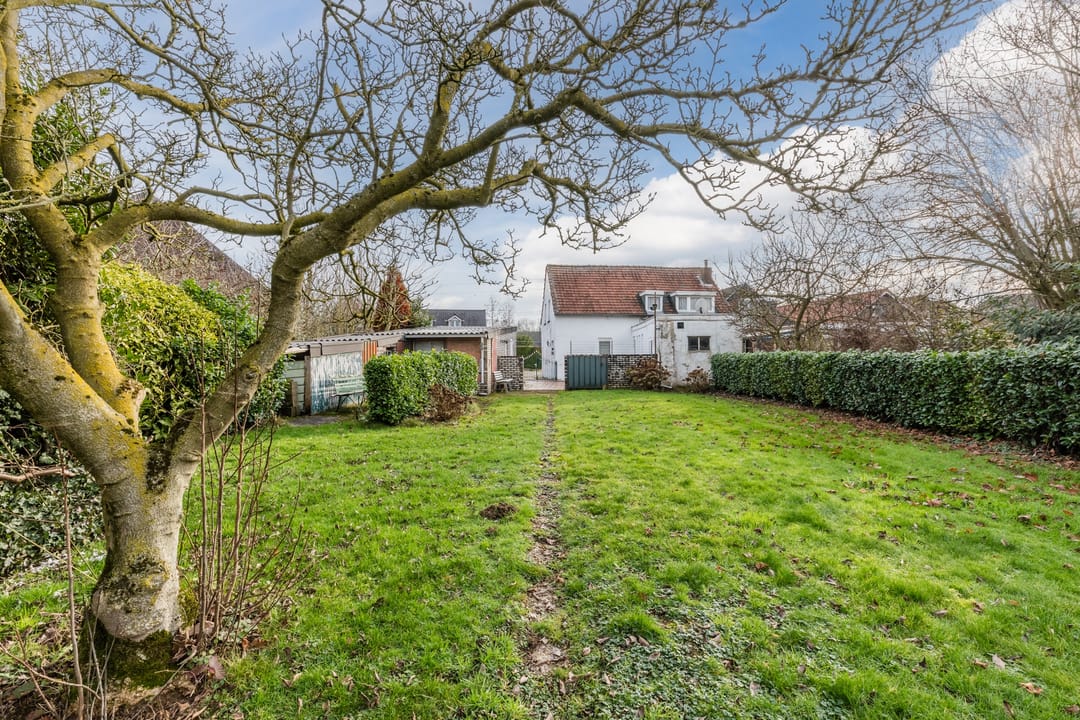 Foto 46 van Contelmostraat 20