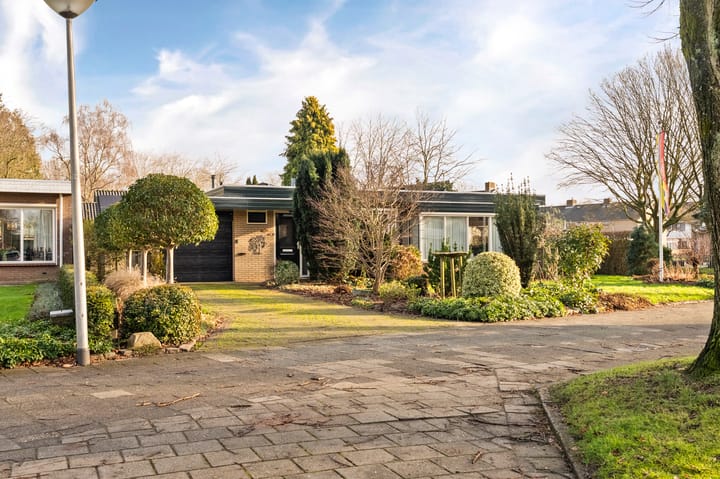 de Fjord 81 main image