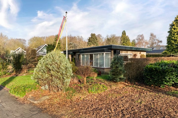 Foto 5 van de Fjord 81