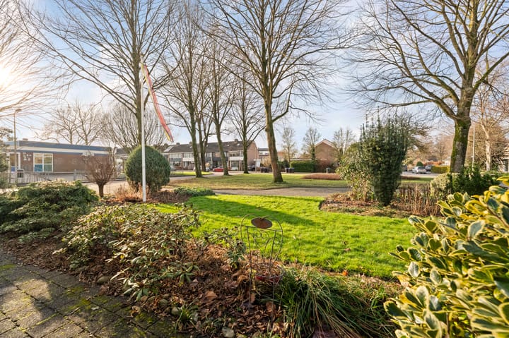 Foto 8 van de Fjord 81