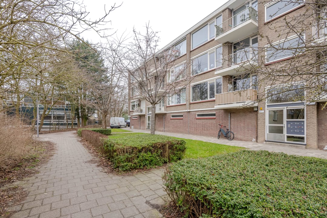 Foto 2 van Stuart Millpad 77