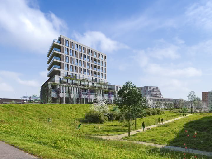 Foto 5 van Zuidhof fase 1