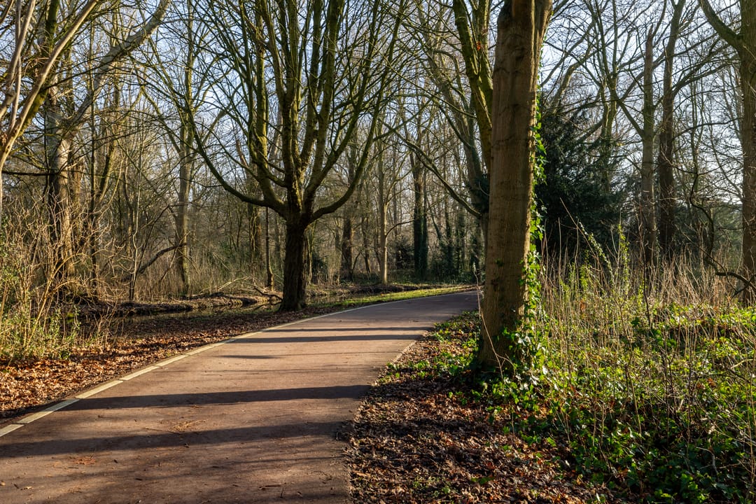 Photo 47 of Tureluurhof 52