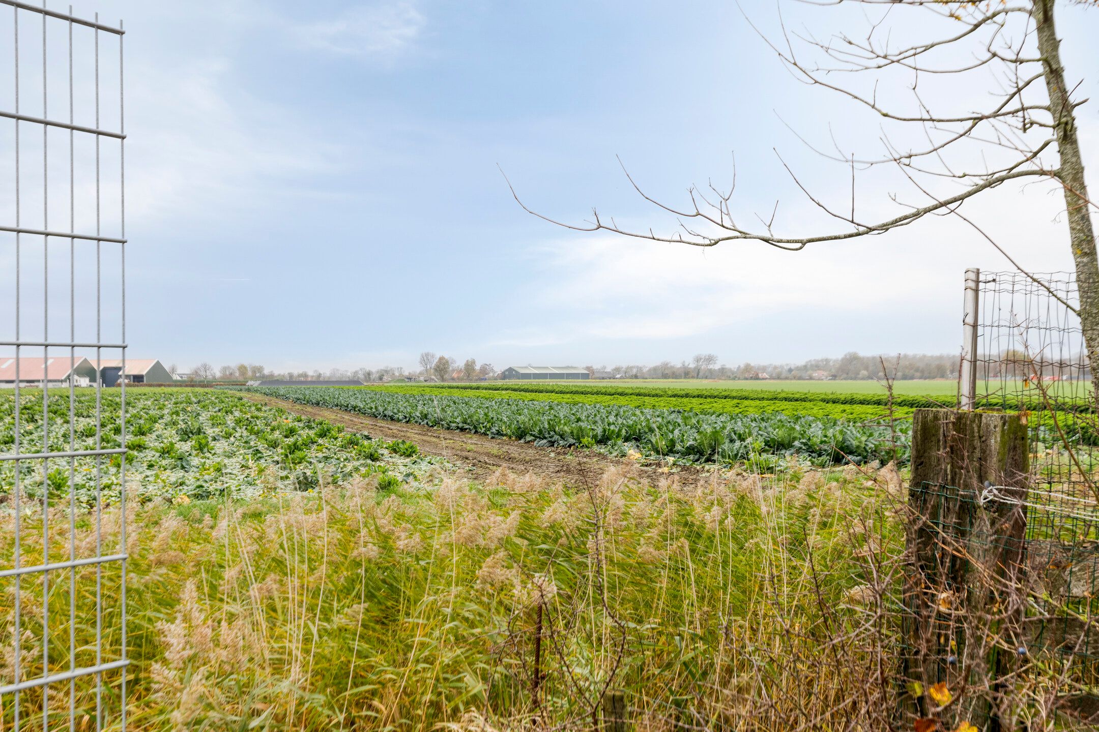 Foto 24 van Nieuwe Vlissingseweg 624