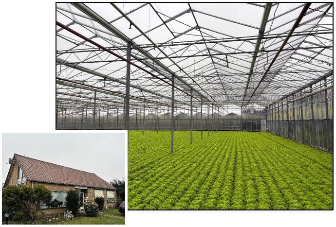 Naaldwijkseweg 223 - 's-Gravenzande - Afbeelding 1