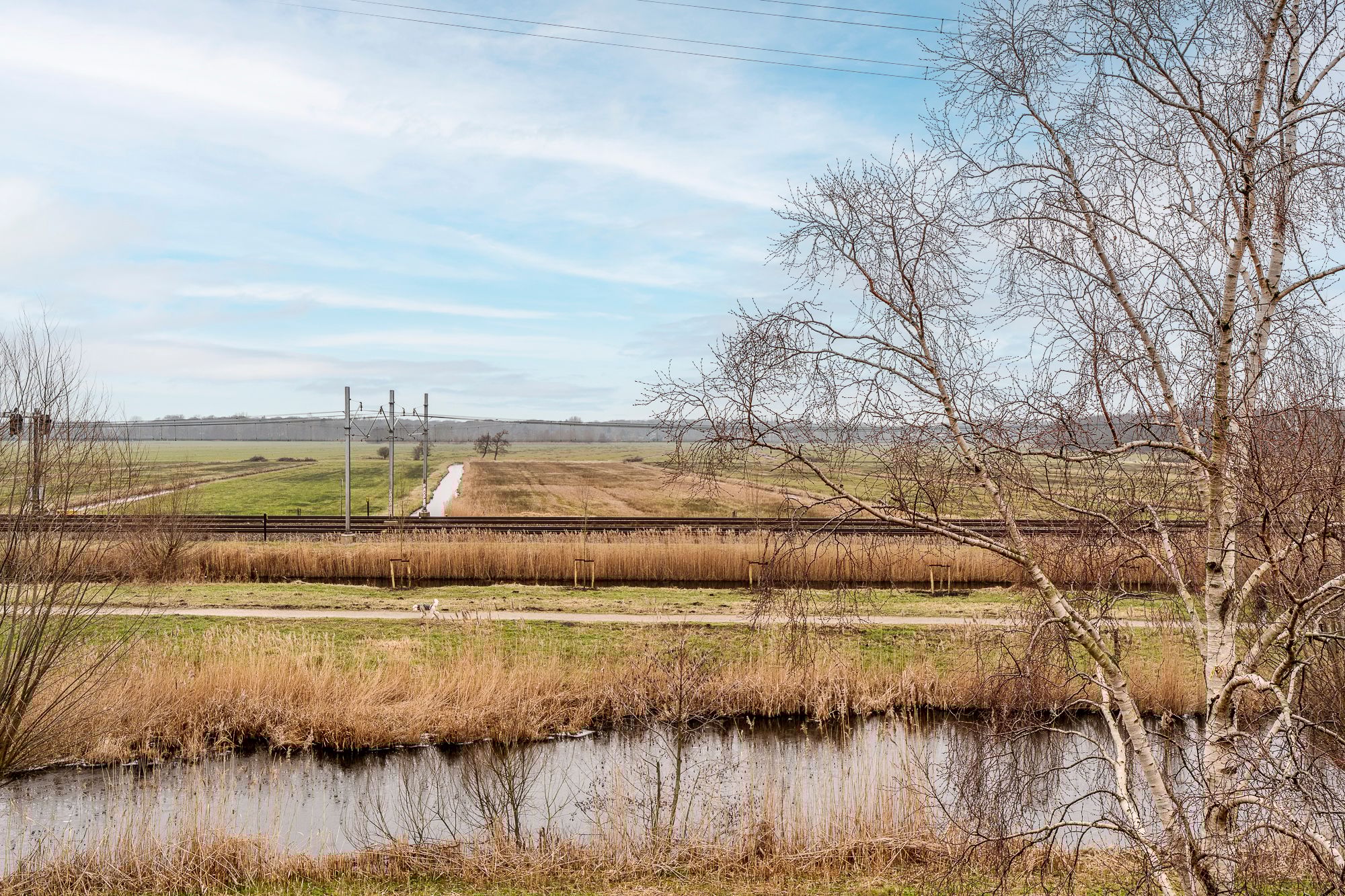 Foto 39 van Zijdesingel 23