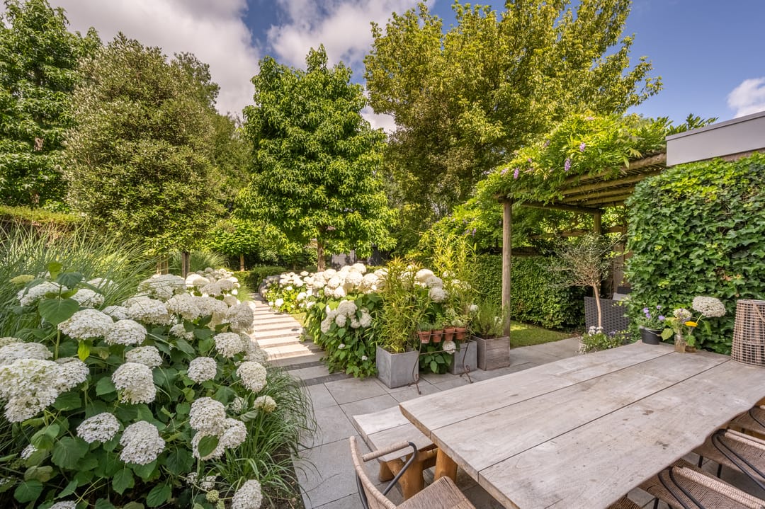 Foto 37 van Rietgors 10