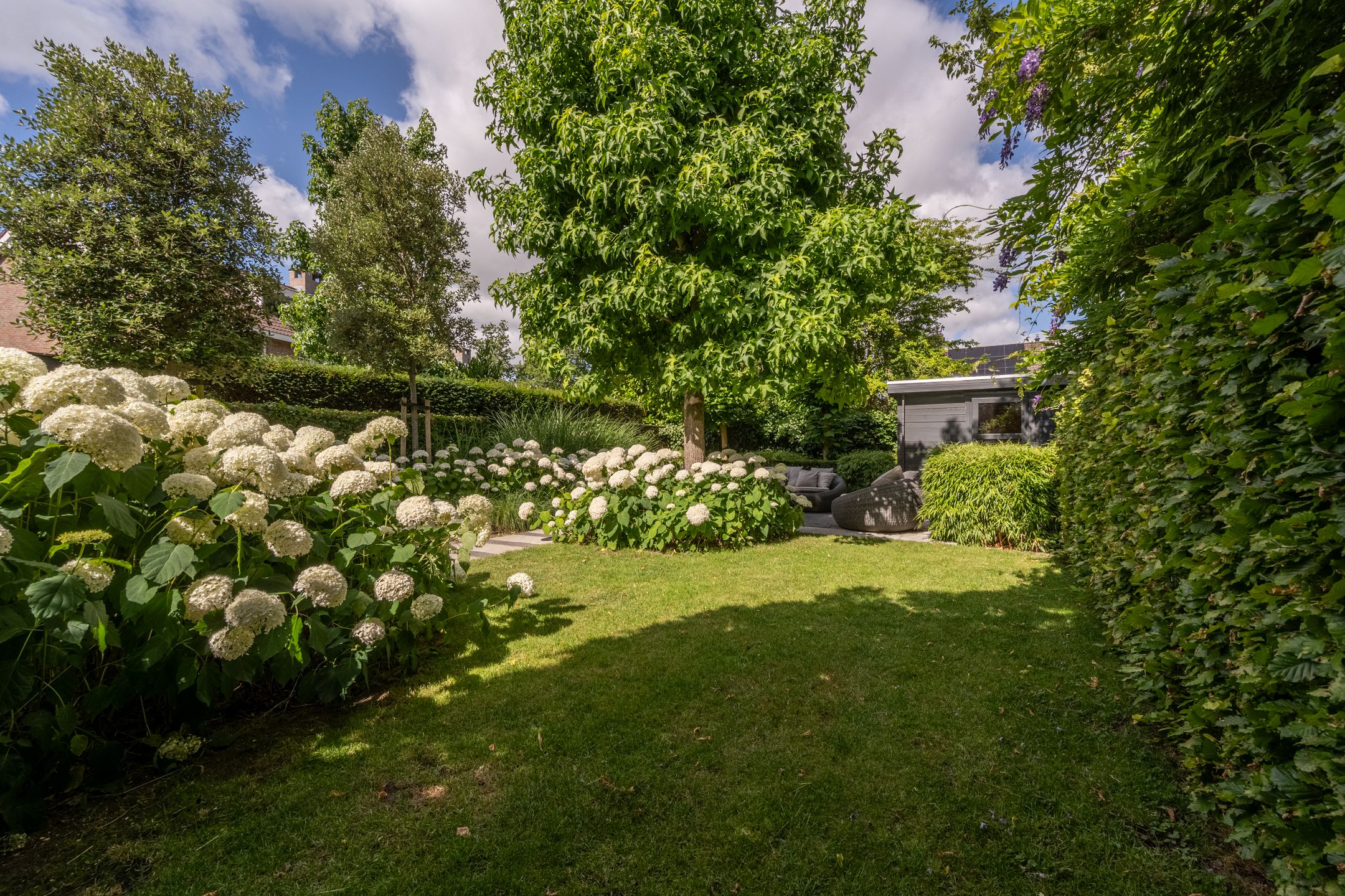 Foto 39 van Rietgors 10