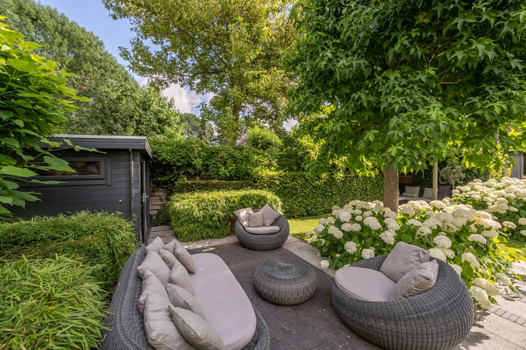 Foto 41 van Rietgors 10