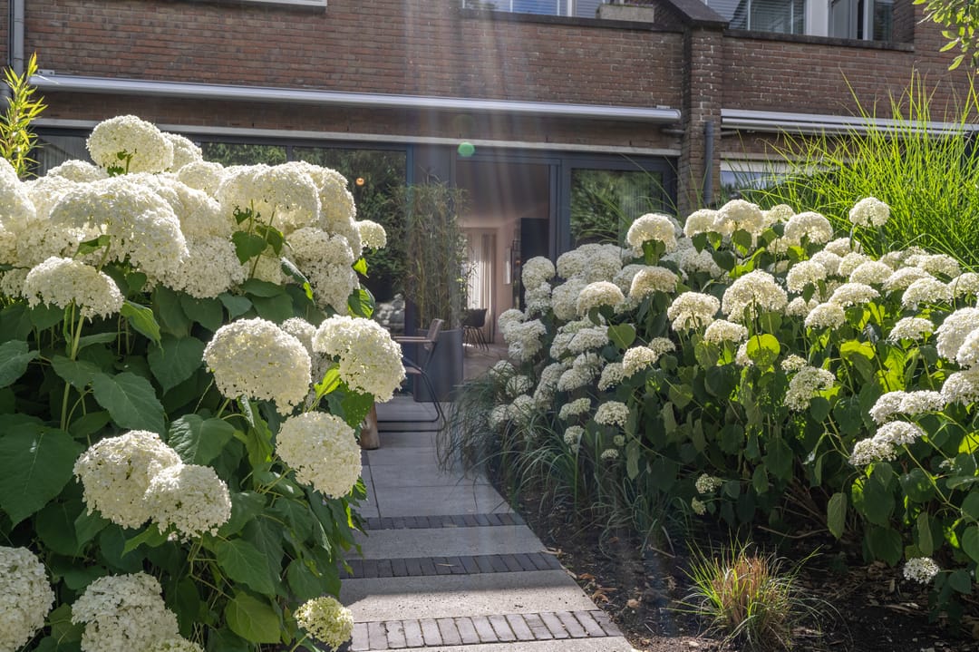 Foto 43 van Rietgors 10