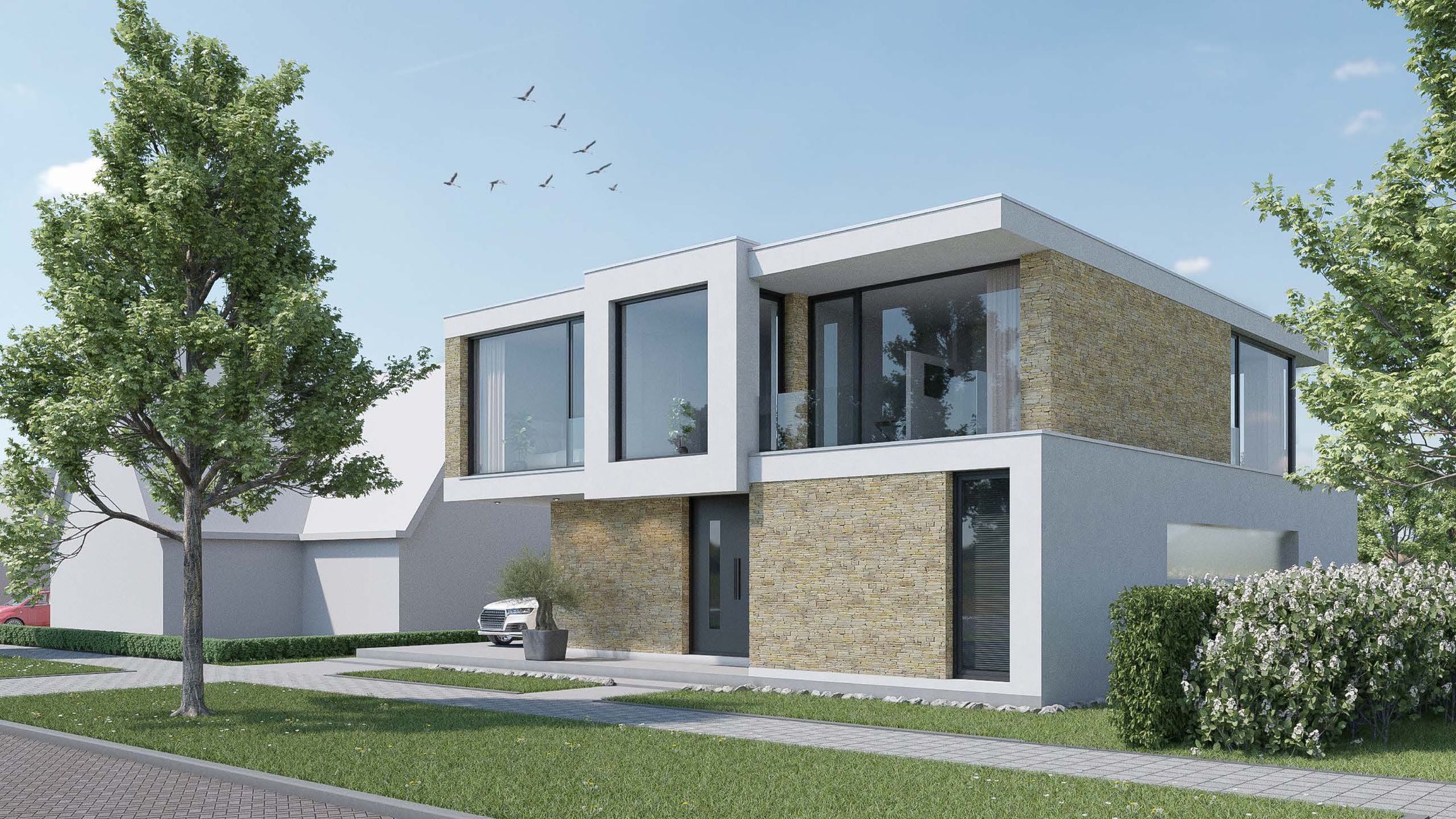 Foto 15 van Parelmoervlinder 2