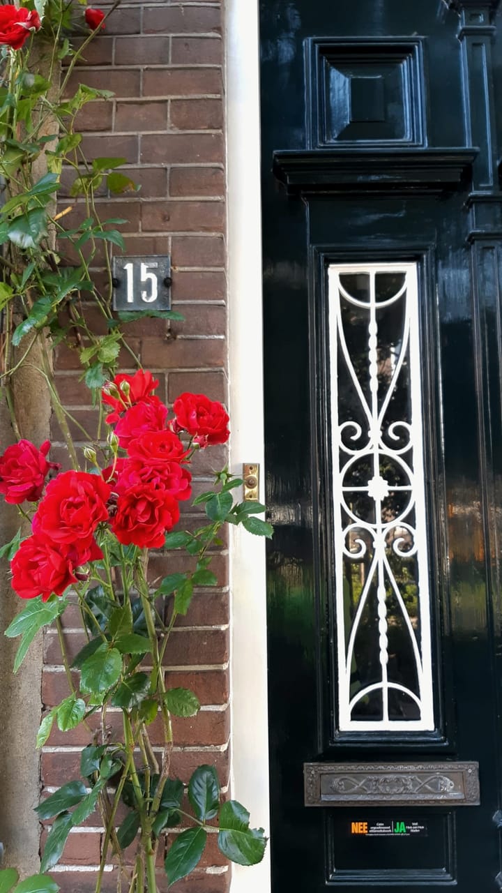 Photo 46 of van Oldenbarneveltstraat 15