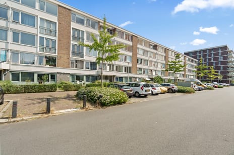 Auriollaan thumbnail