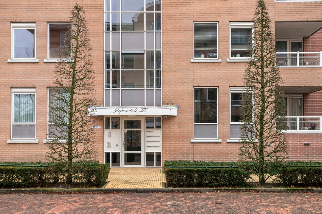 Photo 26 of de Hofnar 19