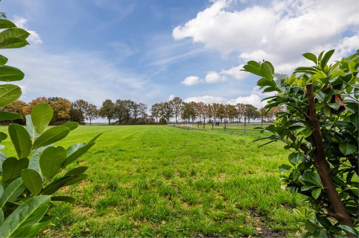 Foto 53 van H.J. Kniggestraat 43