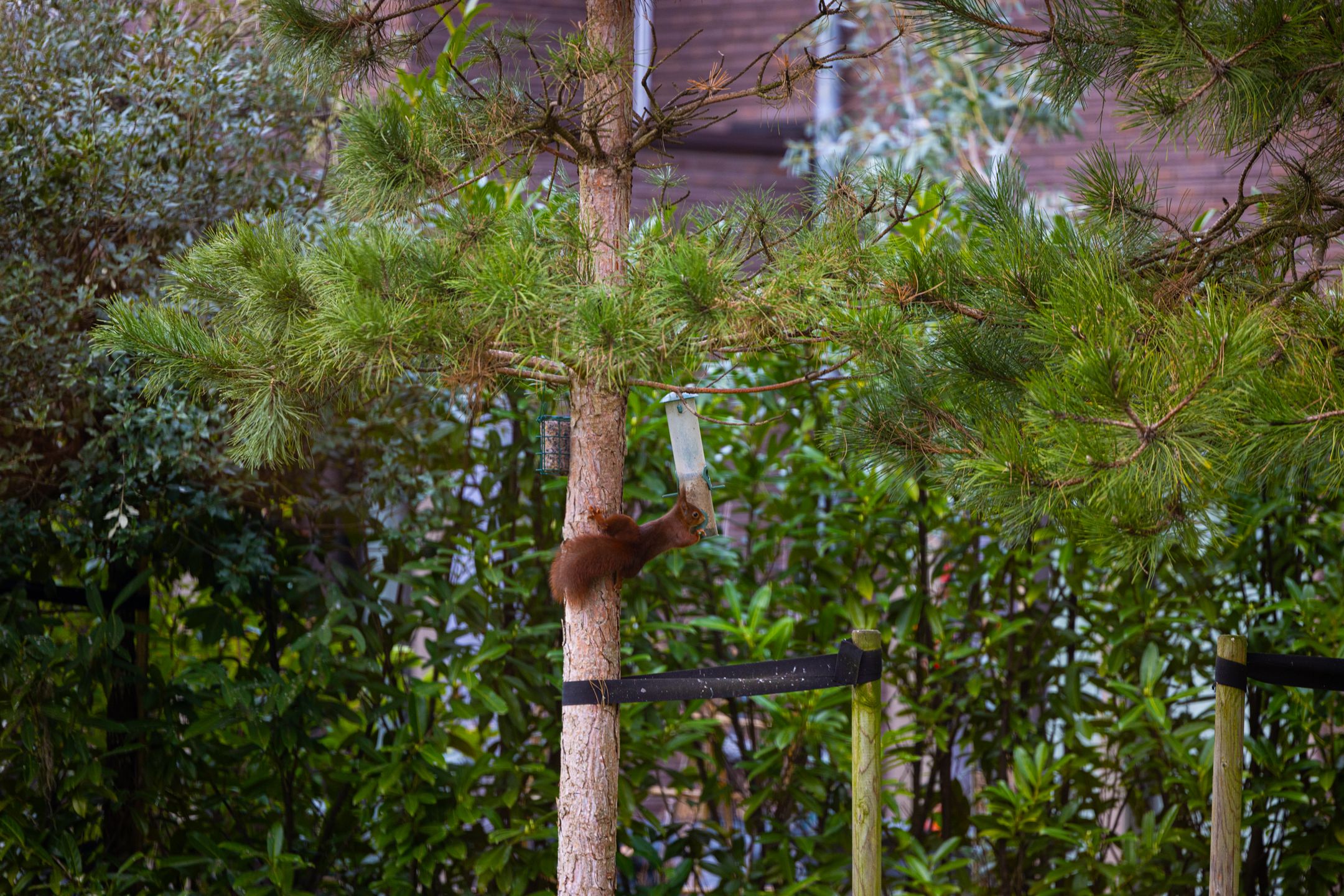 Foto 33 van Scherpenzeelseweg 41-E