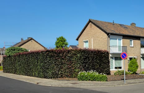 undefined main image