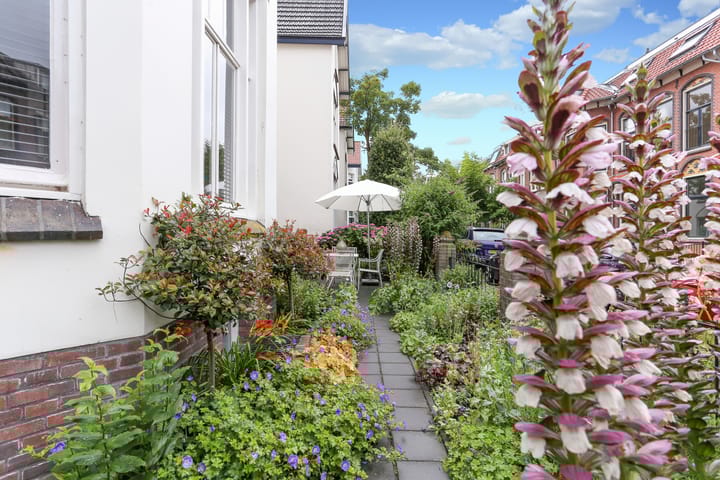 Photo 23 of Van Speijkstraat 23