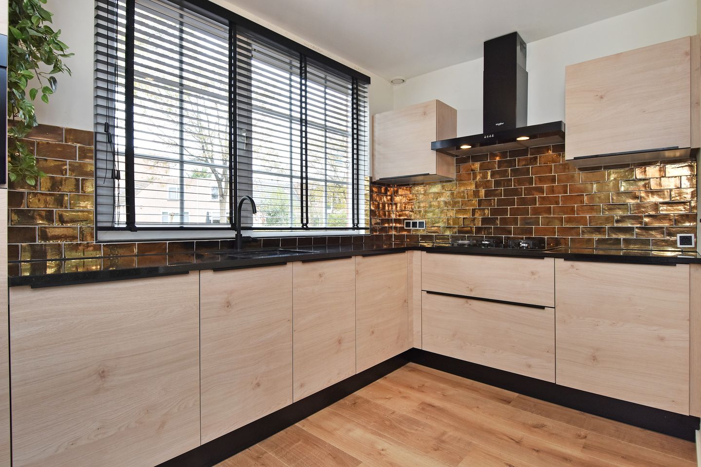 Foto 19 van B. Thoenplantsoen 1