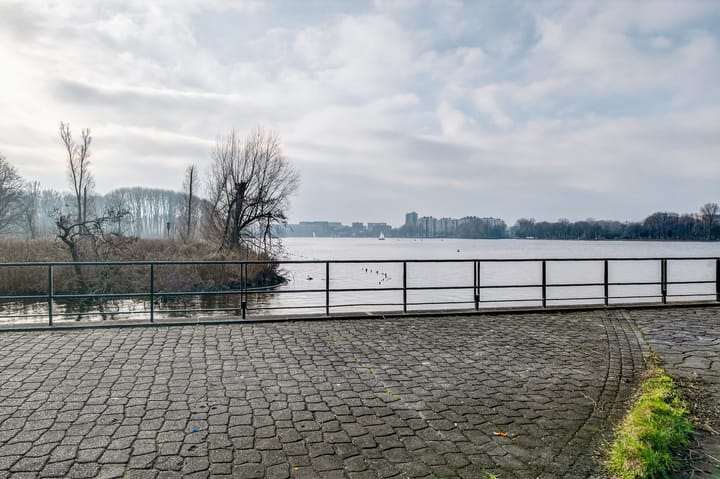 Photo 33 of Tretjakovlaan 26