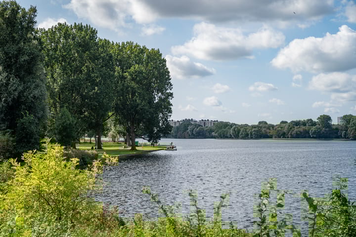 Photo 28 of Tretjakovlaan 26