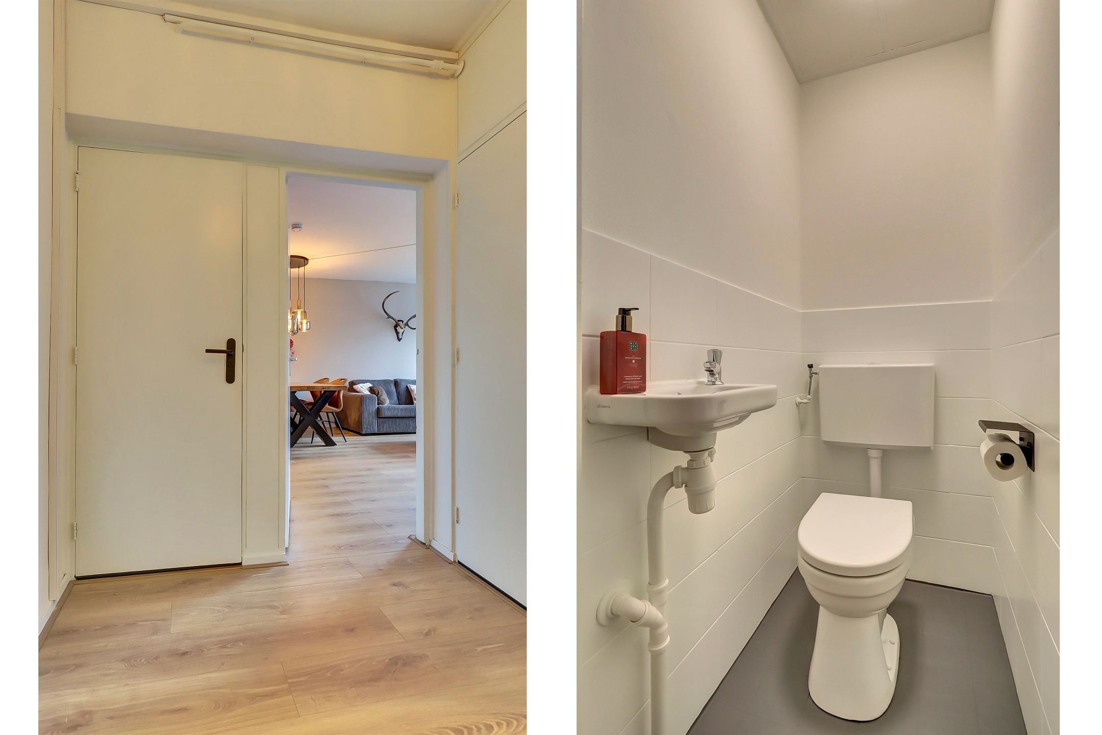 Foto 9 van Pollenstein 36