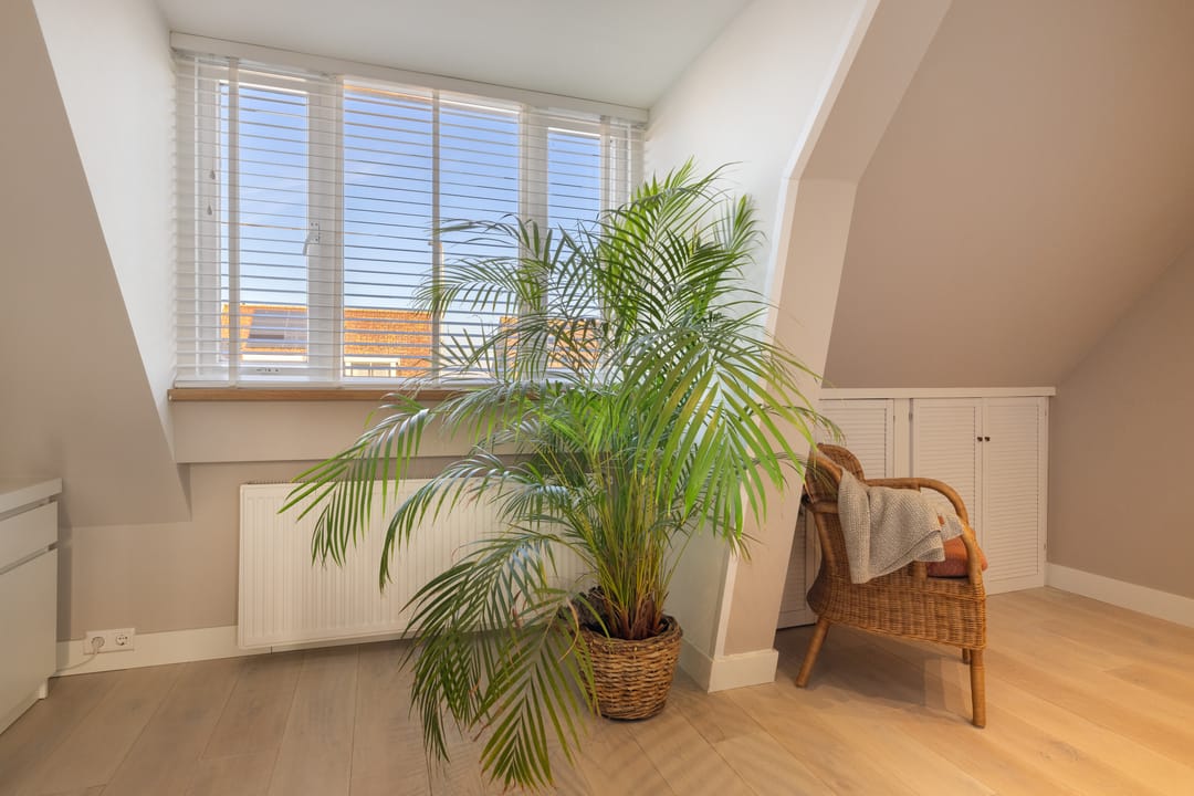 Foto 28 van Kerkstraat 165