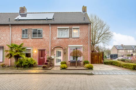 undefined main image